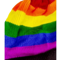 LGBTQ Pride Winter Rainbow Beanie Hat