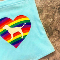 Victoria's Secret - LOVE PINK Rainbow Heart Boyshorts