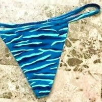 Victoria's Secret Zebra Panties